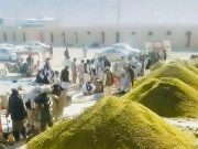 Putin’s Comments About the Quran: What He Said and Why It Made Headlines