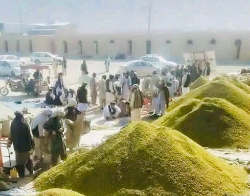 Putin’s Comments About the Quran: What He Said and Why It Made Headlines